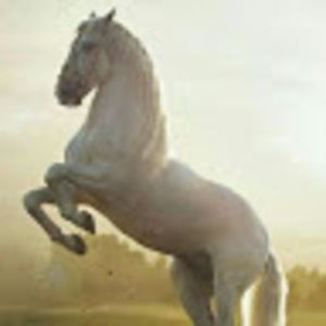 Meet your Posher, Isabel